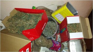 Голямо количество марихуана е иззето при акция на служители от сектор „Криминална полиция” при РУ-Пазарджик