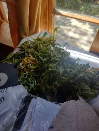 46-годишна жена е задържана за отглеждане и притежаване на наркотични вещества