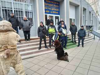 В последния ден на юбилейното издание на Международния фестивал на маскарадните игри „Сурва“ 2024 групата на с. Кралев дол гостува на служителите от ОДМВР – Перник