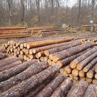 Голямо количество незаконно добит дървен материал, алкохол, дизелово гориво и автомобил с чужди номера са открити в частен двор в гр. Батановци