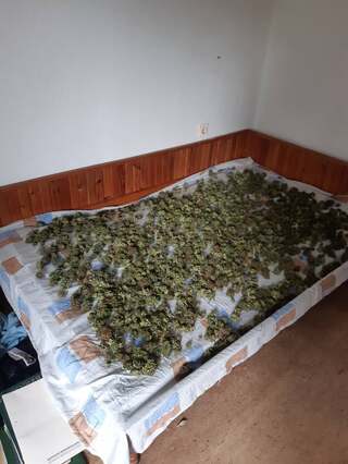 Голямо количество наркотични вещества са иззети при акция на служители от ОДМВР – Перник