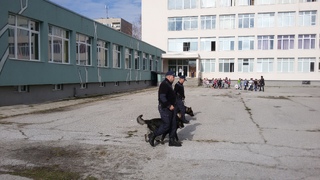 Демонстрация с полицейски кучета наблюдаваха децата от Детско полицейско управление при 10-то ОУ Алеко Константинов – Перник