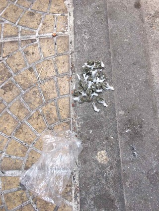Полицията задържа уличния дилър „Зеки“ в Столипиново