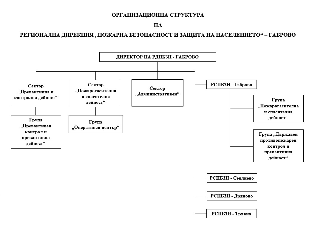 Организационна структура