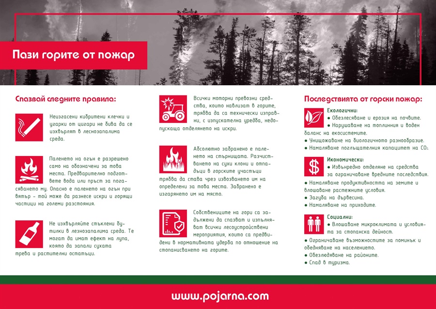 forest-fires-brochure (2)