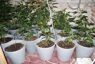 Задържано лице след операция по линия на разпространение на наркотици