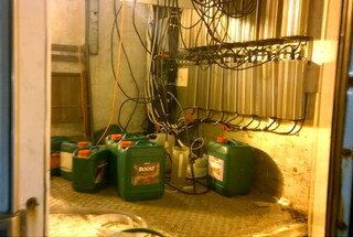 Столични полицаи разкриха оранжерия за отглеждане на канабис