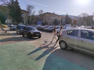 Полицейска операция по безопасност на движението по линия на ROADPOL започва в област Шумен