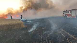 РДПБЗН-Силистра с мерки за опазване на реколтата от пожари