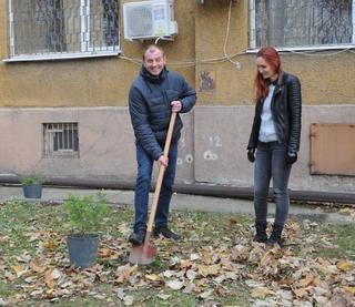 Три елхички облагородяват зоната около РУ-Силистра