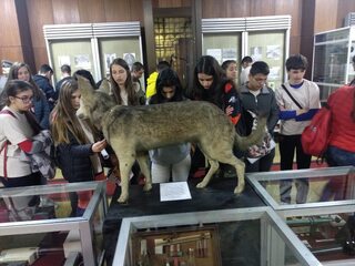 „Детска полицейска академия“