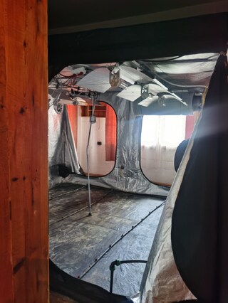 Домашни парници с канабисови насаждения са разкрити при спецакция на полицията в Самоков