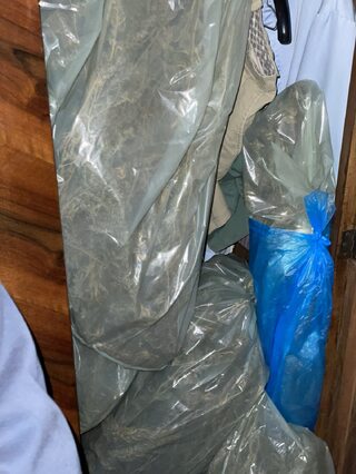 Голямо количество марихуана е иззето при акция в Свогенско