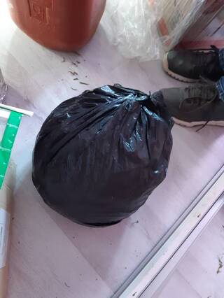 Голямо количество марихуана е иззето при полицейска акция от частен адрес в с. Костенец