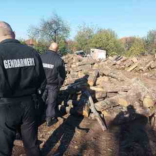 Специализирана полицейска операция за противодействие на  престъпления, свързани с нарушения на изборното законодателство и  битовата престъпност се провежда на територията на ОДМВР-Стара Загора днес - 18.10.2024г.