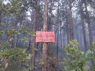 Пожарът в с. Димитриево бе загасен в рамките на часове благодарение на професионалните действия на огнеборците