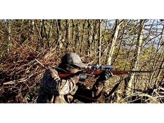 Няма допуснати инциденти и съществени закононарушения по време на ловни излети в областта за времето на проведена едномесечна специализирана полицейска акция 