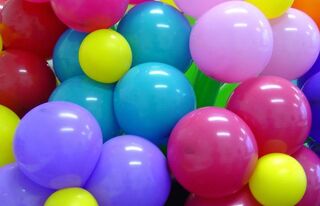 Създадена е организация за осигуряване на обществения ред, сигурността и пътната безопасност по време на тазгодишните абитуриентски балове