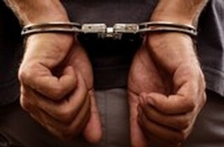 Полицаите в Търговище разкриха поредица от взломни кражби от избени помещения в областния център 