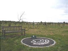 8a570980-roadpeace2smalljpg 8a570980-roadpeace2smalljpg