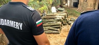 Близо 50 кубика немаркирани дърва, установиха полицейските екипи при проверки на шест адреса в с. Бело поле