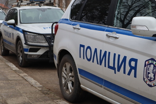 Служители на РУ-Кула са задържали трима мъже и непълнолетно момче за посегателство от частен имот в Грамада 