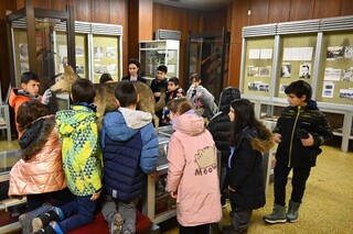 Със завидни знания и любознателност ни впечатлиха учениците от трети клас на 128 СУ, които гостуваха на Академията на МВР