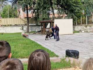 Професия полицай