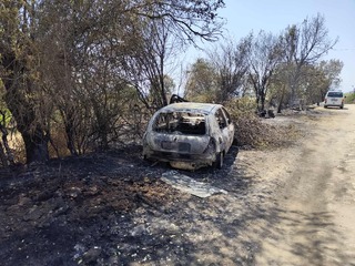 Няма пострадали хора по време на вчерашния пожар в село Развигорово