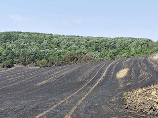 Няма пострадали хора по време на вчерашния пожар в село Развигорово