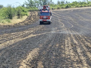Няма пострадали хора по време на вчерашния пожар в село Развигорово