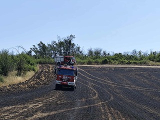 Няма пострадали хора по време на вчерашния пожар в село Развигорово