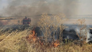 Екипи на РДПБЗН-Сливен са спасени 100 декара овощни градини и сгради
