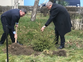 ОДМВР-Благоевград с участие в кампанията “Купи елхичка, помогни”