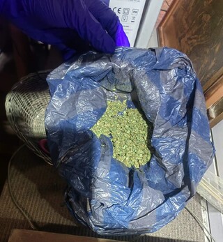 Двама криминално проявени софиянци са задържани в момент на обгрижване на канабисови растения в Свогенско