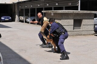 Празник на МВР - 05.07.2012 г.