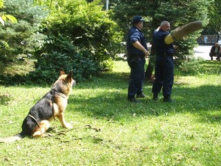 Празник на МВР - 05.07.2011 г.