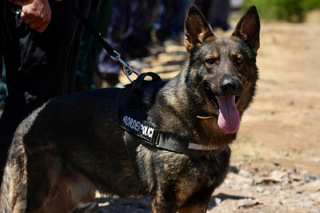 The Bulgarian border is secure and well protected