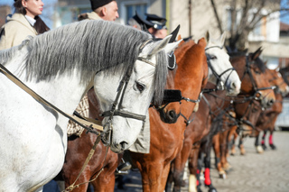 With master riding competitions, the equestrian squadron of the Sofia Metropolitan Police Directorate celebrated Todorovden and its 70th anniversary