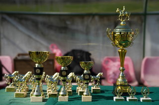 With master riding competitions, the equestrian squadron of the Sofia Metropolitan Police Directorate celebrated Todorovden and its 70th anniversary