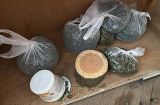 Служители от ГПУ - Генерал Тошево задържаха германски гражданин с голямо количество канабис
