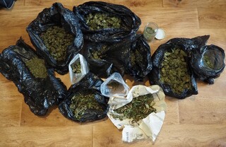 Криминалисти от ОДМВР-Стара Загора иззеха над 1285 грама марихуана, 11 растения от рода на конопа и оборудване за отглеждане на растения от апартамент в Стара Загора