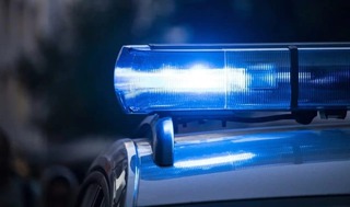 ОДМВР-Разград и ОДБХ предприемат засилен контрол върху транспортирането на живи животни