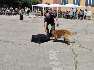 Под надслов „Ваканция, здравей! Да играем безопасно“ в град Смядово се проведе финално състезание на общинско ниво