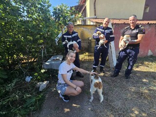 Пожарникари спасиха живота на две кученца, паднали в кладенец в Любимец