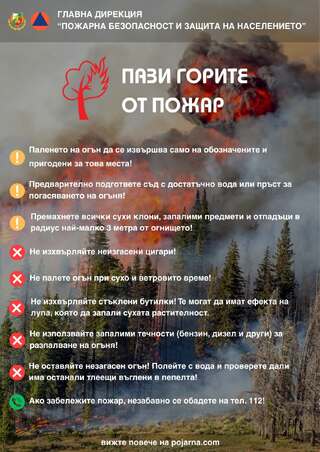 Съвети за опазване на горите от пожари