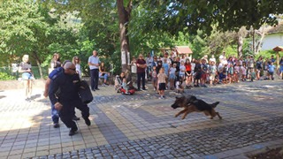 Демонстрация на полицейски кучета и беседа по пътна безопасност се проведоха в Земен