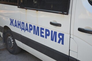 Незаконно добити дърва и тютюн са иззети при специализирана полицейска операция в област Видин
