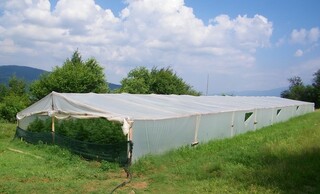 Гранични полицаи разкриха две оранжерии с канабис в планината Огражден