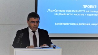 Progress Report on Domestic Violence Project